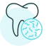 008-tooth